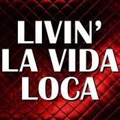 Livin La Vida Loca Intro Radio Mix Club Edit Ricky Martin