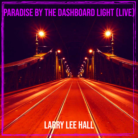 paradise by dashboard light live