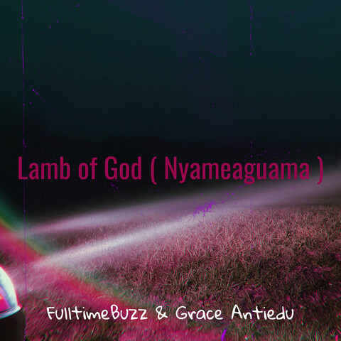 Lamb Of God Nyameaguama Song Download Lamb Of God Nyameaguama MP3 Song Online Free On Gaana Com