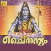 sree rama chaithanyam mp3 songs