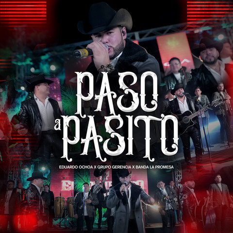 Paso a Pasito Song Download: Paso a Pasito MP3 Spanish Song Online Free