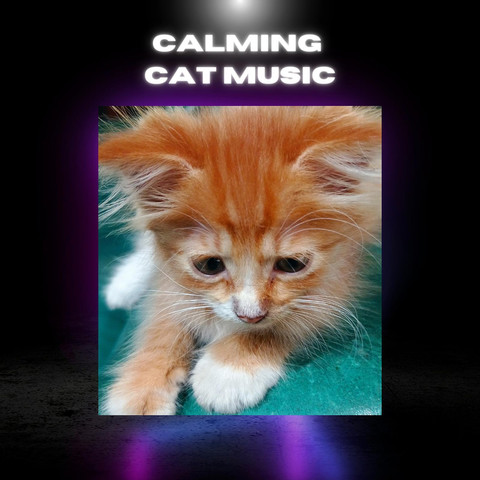 cat song mp3 download