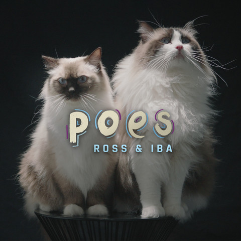 Poes Song Download: Poes MP3 Dutch Song Online Free on Gaana.com