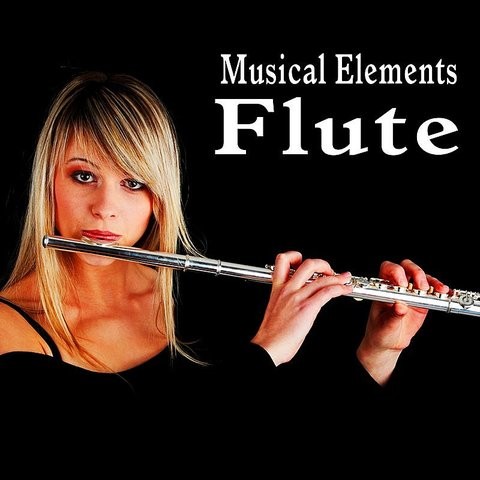 Freesound - Wood_Flutes