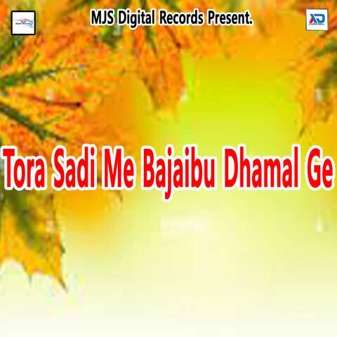 holi dhamal free download