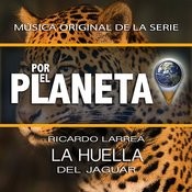 Walking Through The Jungle Mp3 Song Download Por El Planeta La