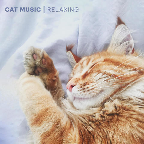 Cat Music - Relaxing Songs for Cats and Kittens Songs Download: Cat ...