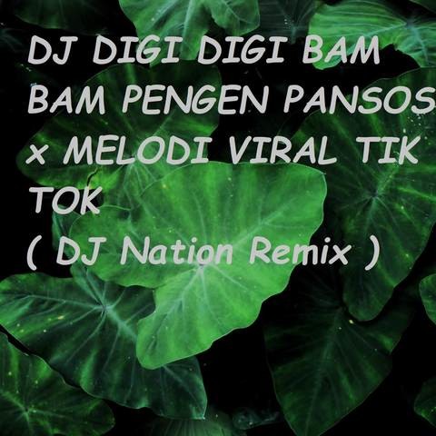 wiz maleek bam bam remix mp3 download