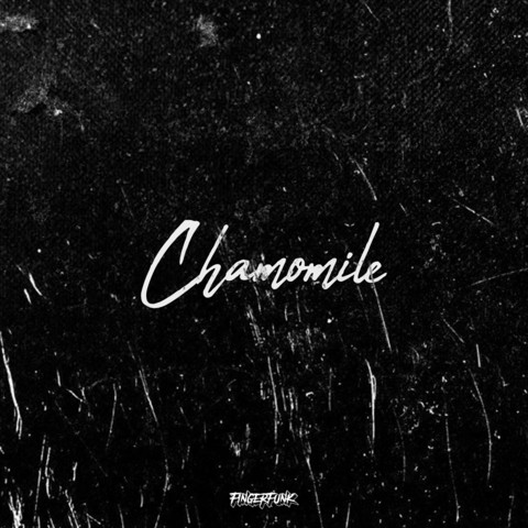 Chamomile Song Download: Chamomile Mp3 Song Online Free On Gaana.com