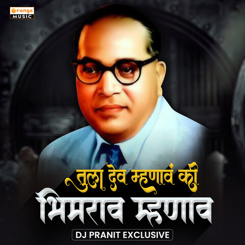 Tula Dev Mhanav Ki Bhimrao Mhanav (DJ Remix) Song Download: Tula Dev ...