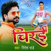Ritesh Pandey Songs Download: Ritesh Pandey MP3 New Songs 