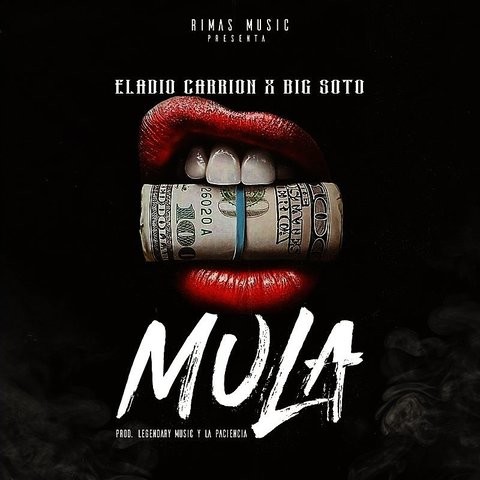 Mula Song Download: Mula MP3 Spanish Song Online Free on Gaana.com