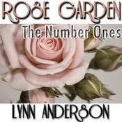 I Never Promised You A Rose Garden Mp3 Song Download Rose Garden