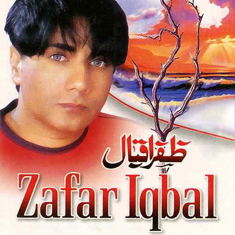 zafar iqbal new books 2018 download