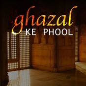 Ghazals video download