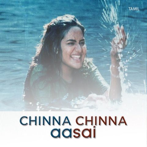 Chinna chinna aasai flute bgm download
