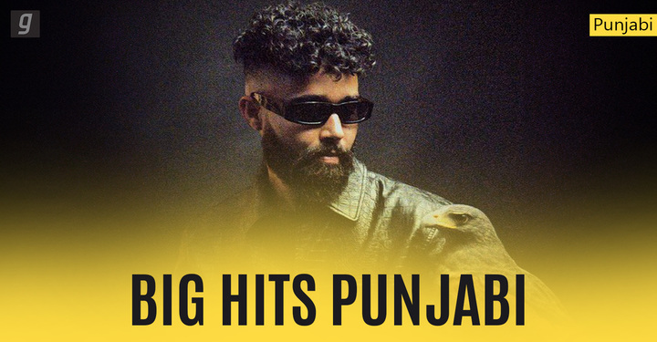 Big Hits - Punjabi